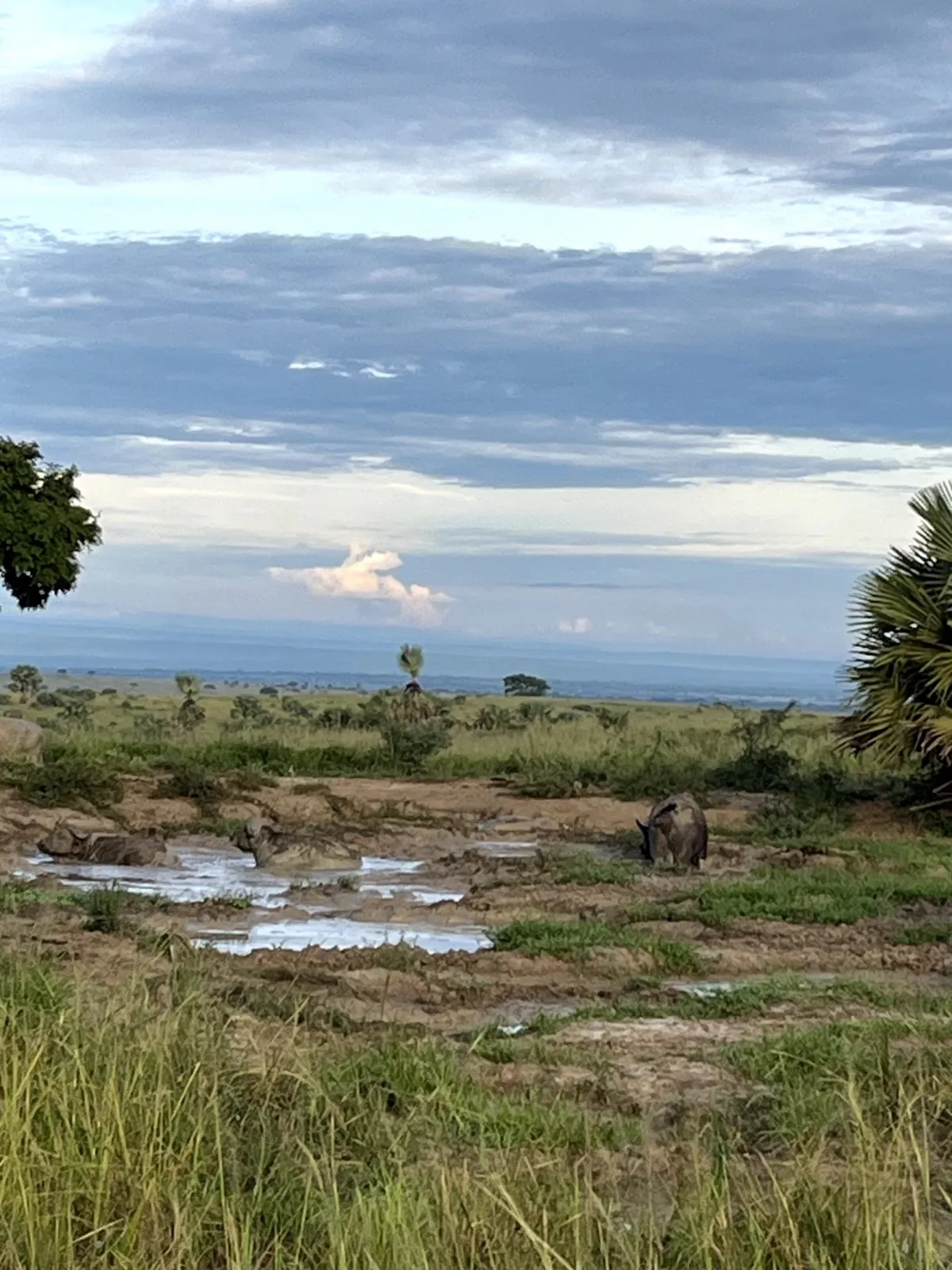 Best of Uganda — 10 Days - Photo 12
