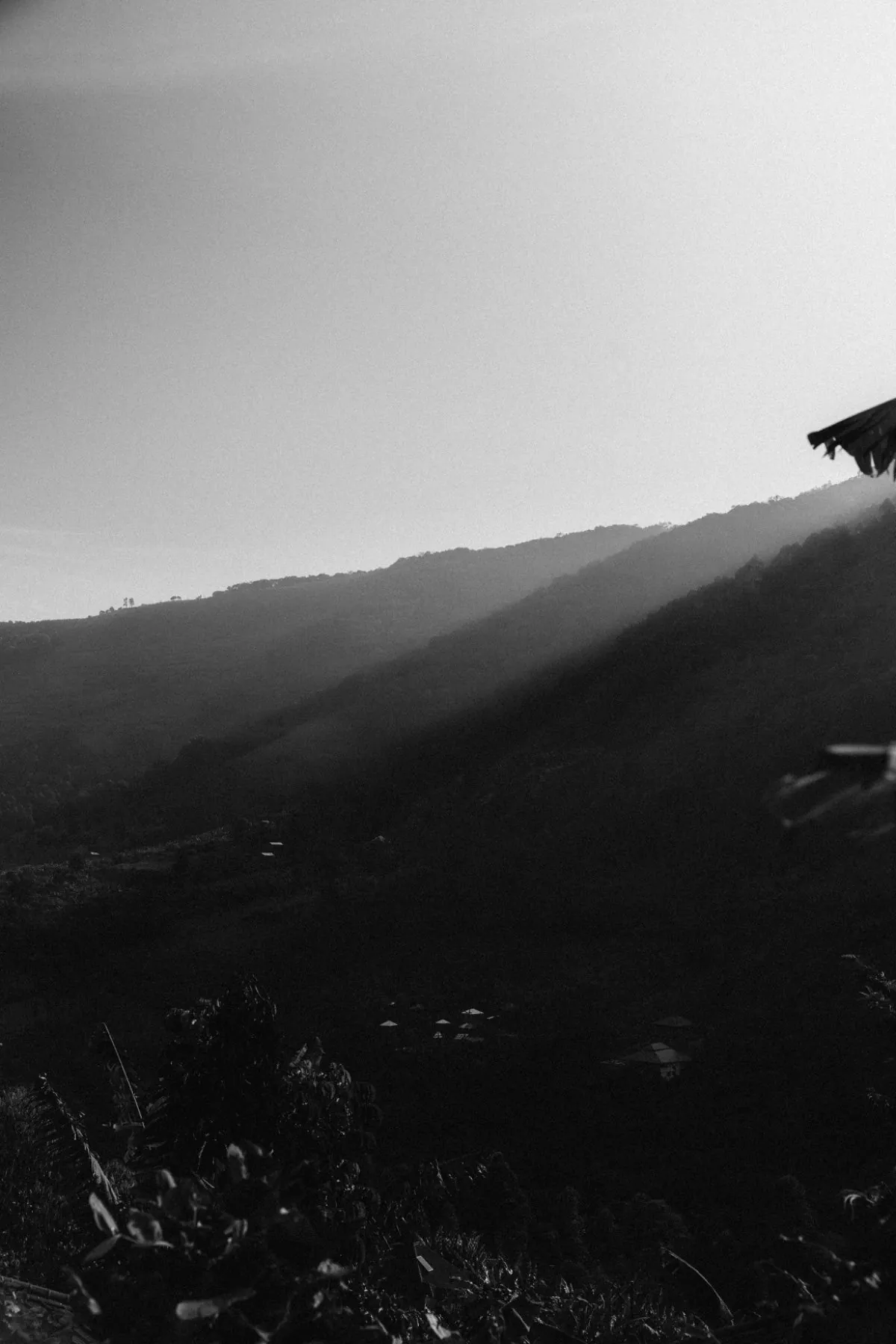 Morning mist over Buhoma valley, the gateway village to Bwindi gorilla trekking in Uganda