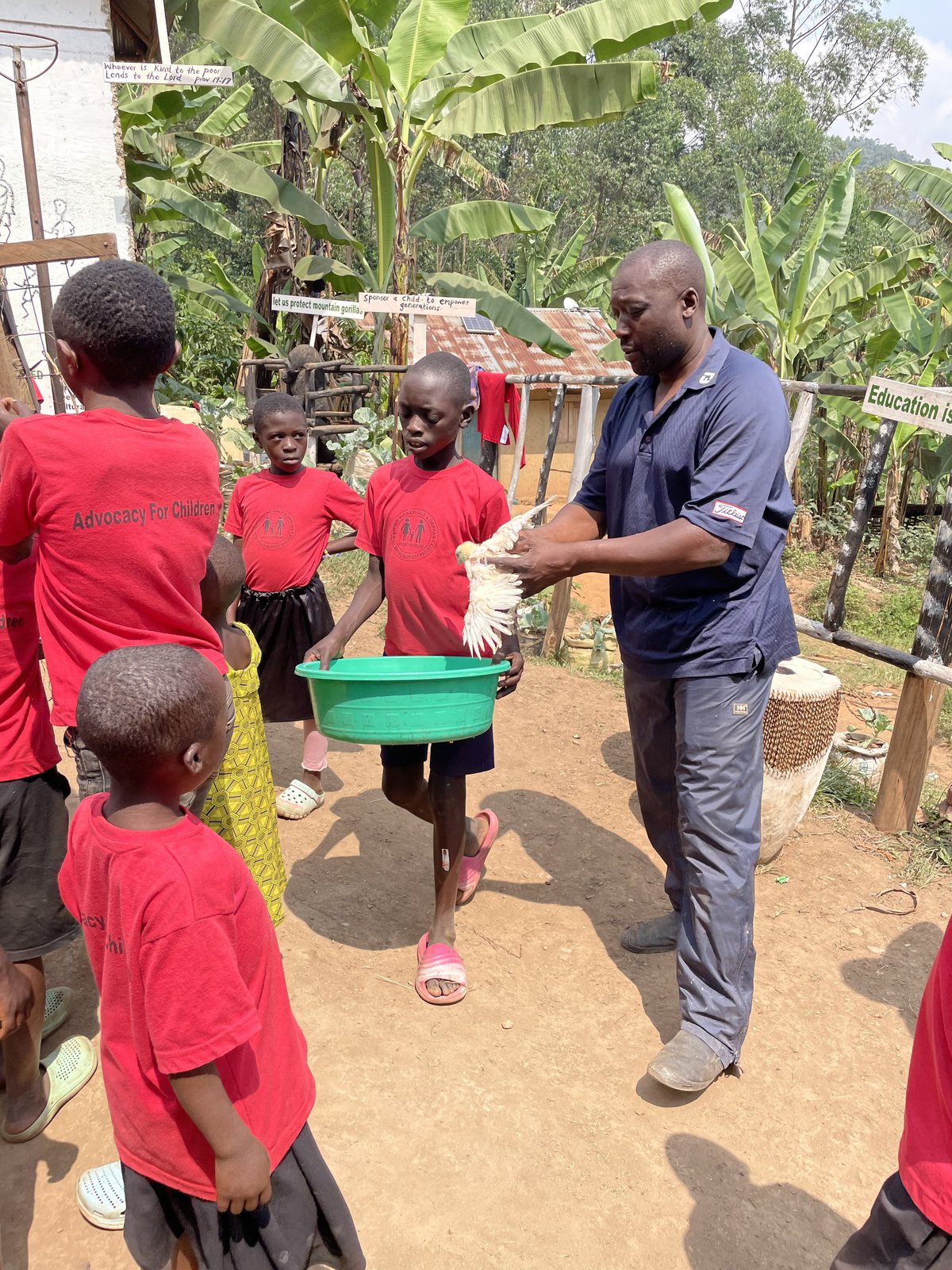 Farmer showing a chicken to children visiting his farm in Buhoma, Uganda