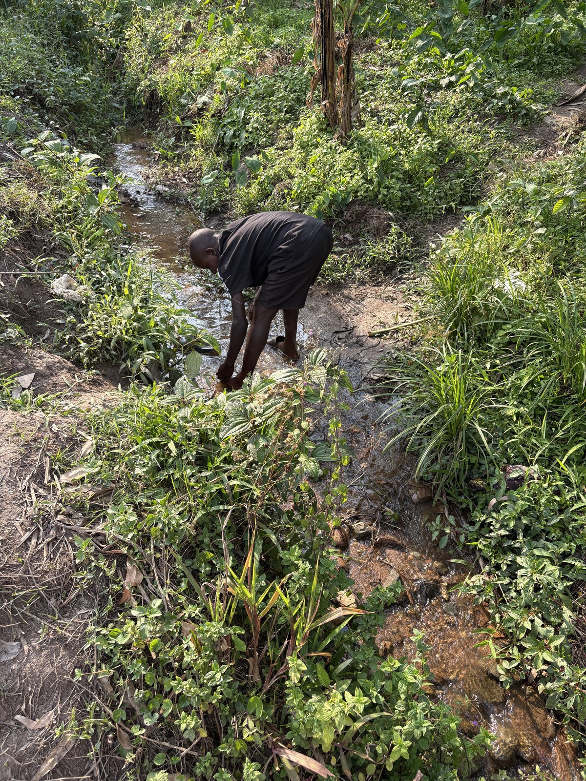 Working in the community garden in Buhoma near Bwindi, Uganda