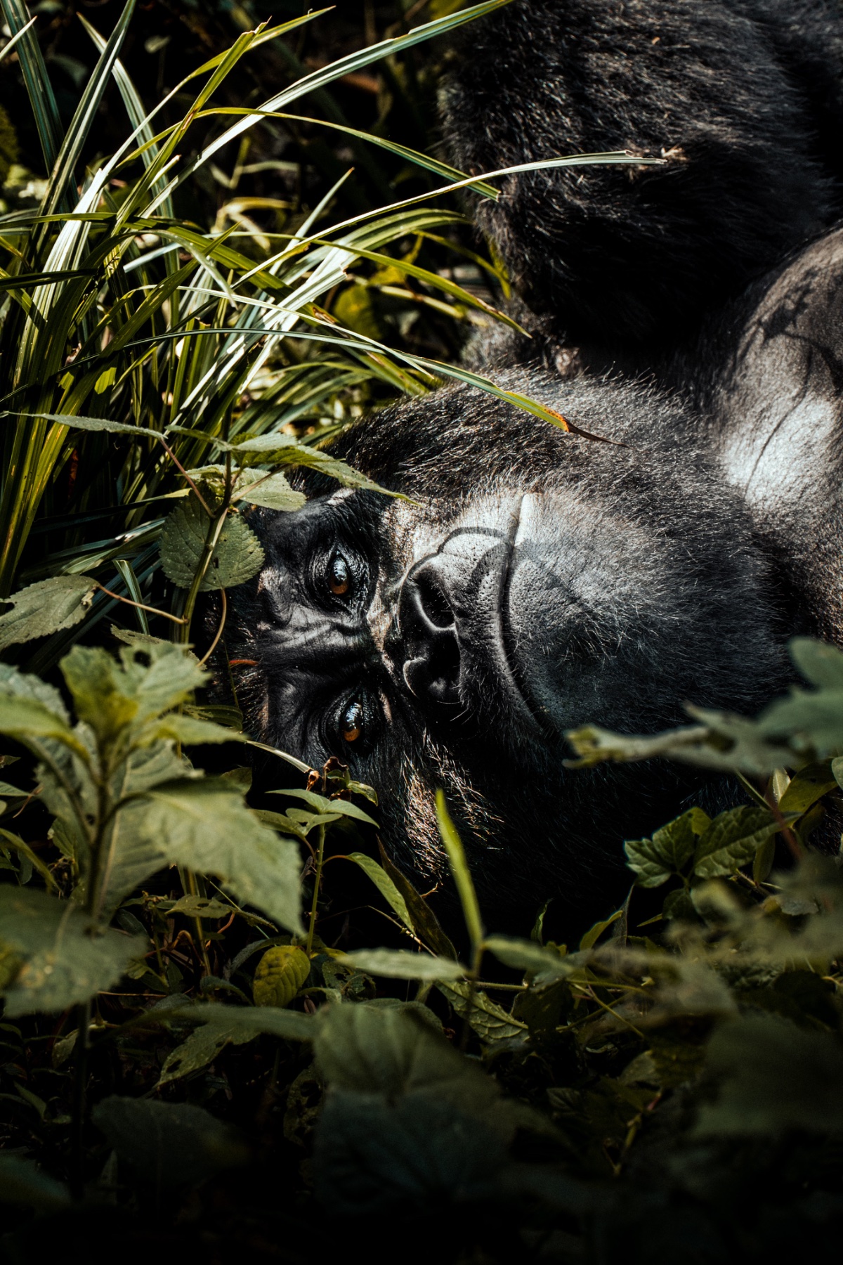 Best of West Uganda — 7 Days - Photo 1