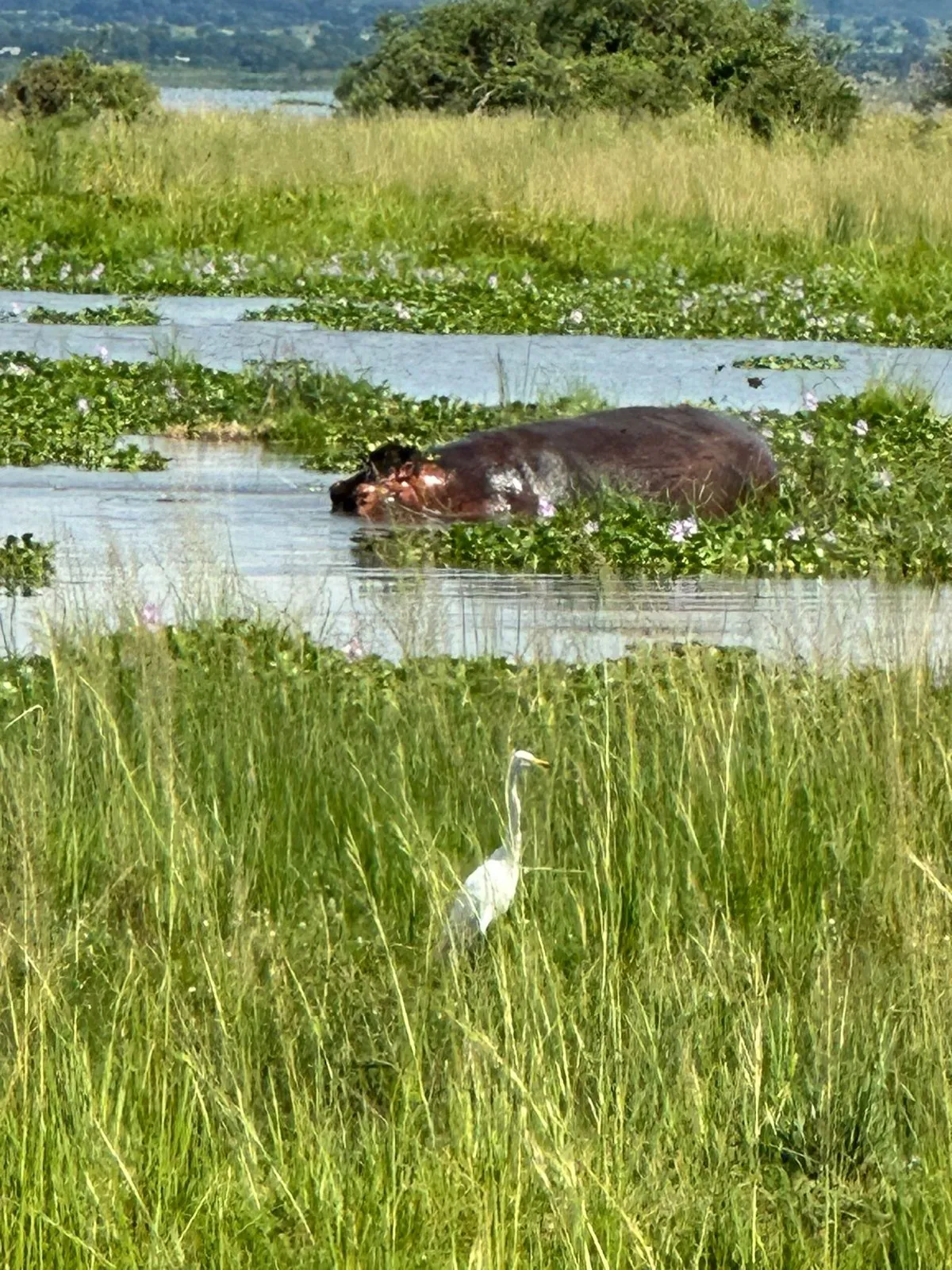 Best of West Uganda — 7 Days - Photo 8