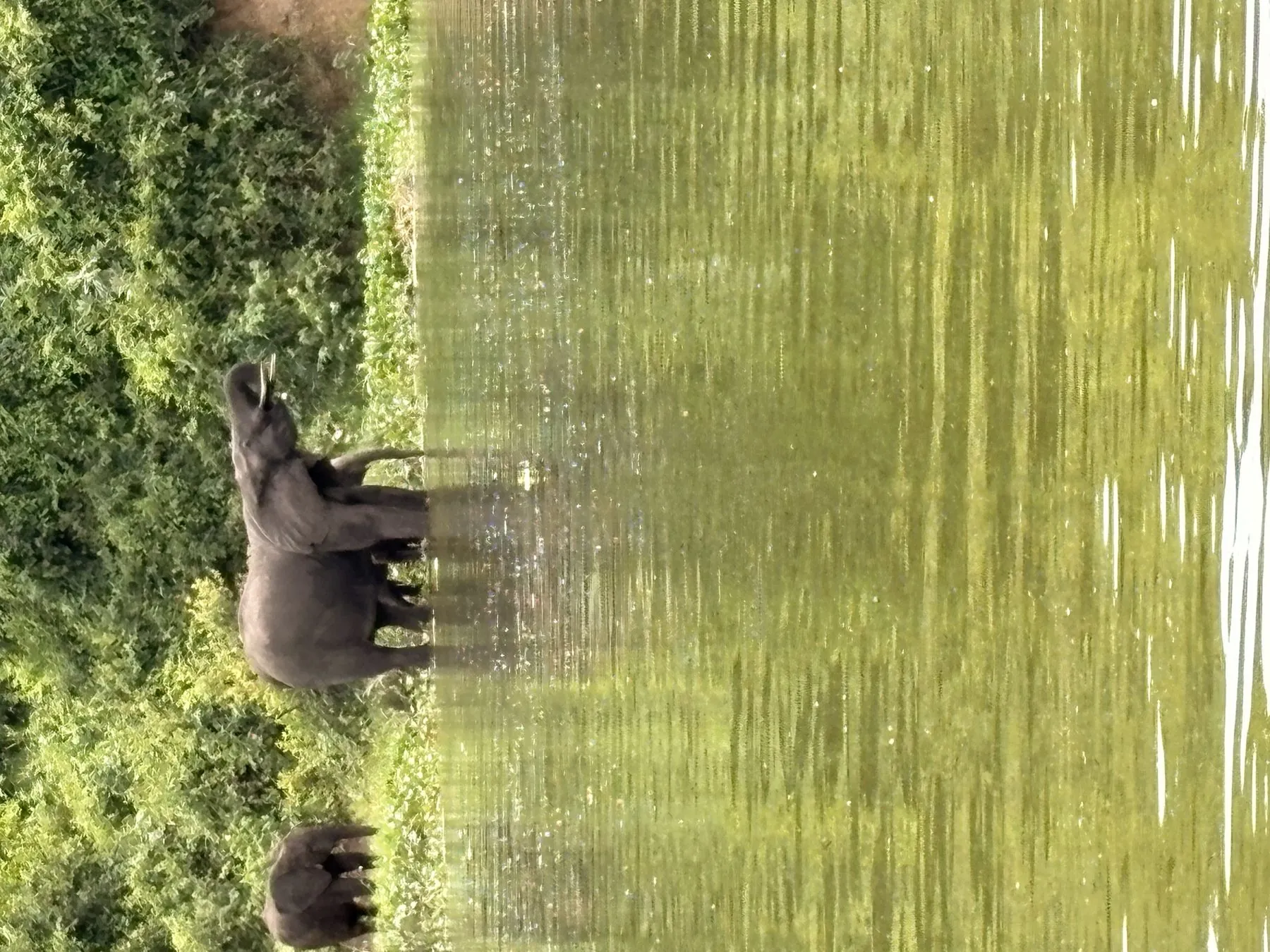 Custom Uganda Safari - Photo 4