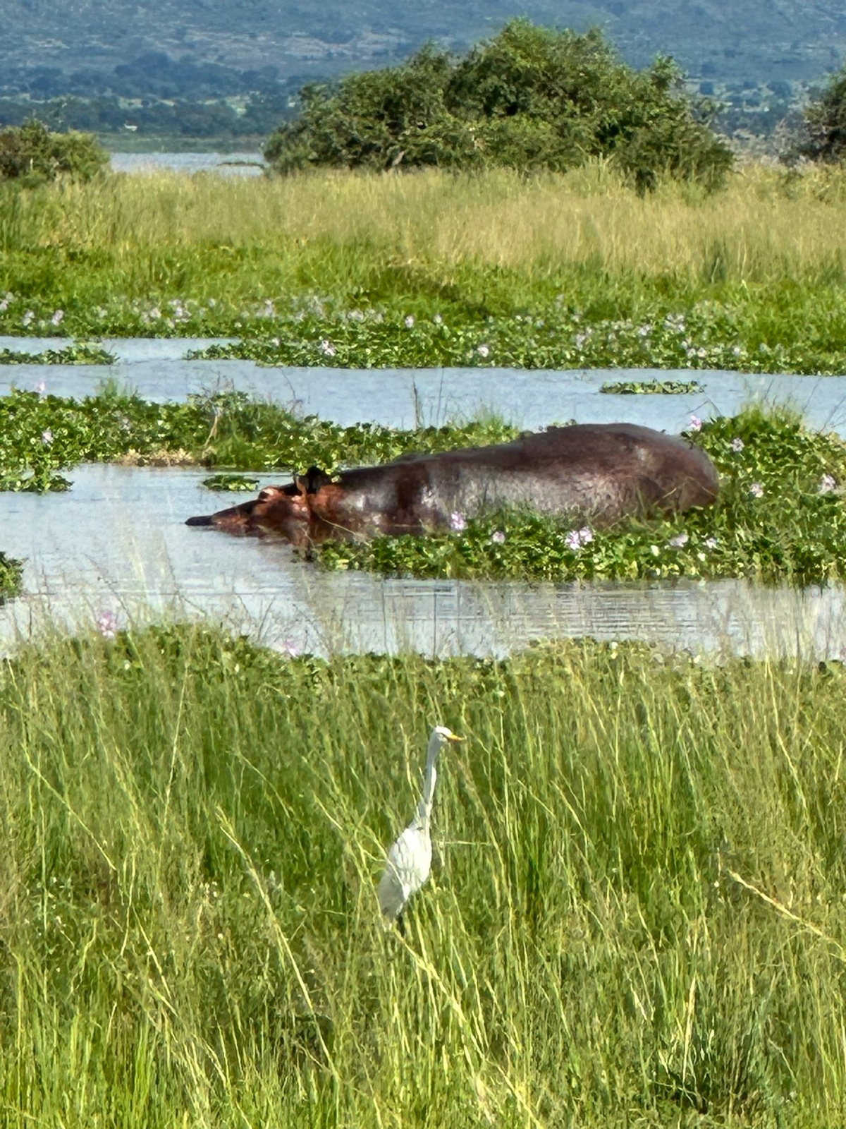 Kazinga Channel