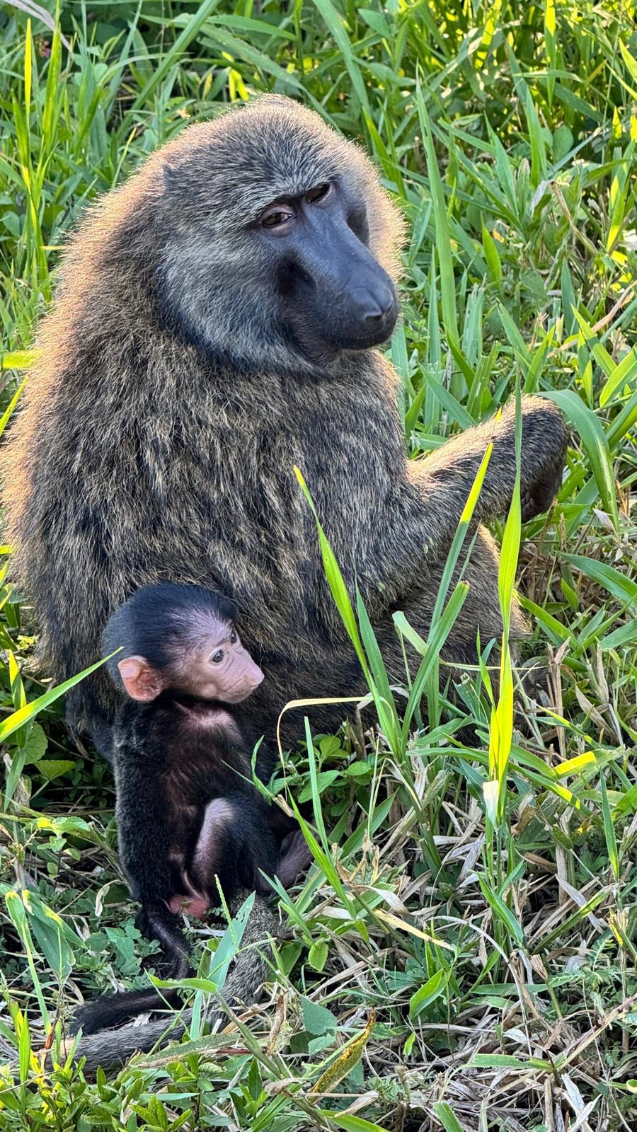 Kibale National Park