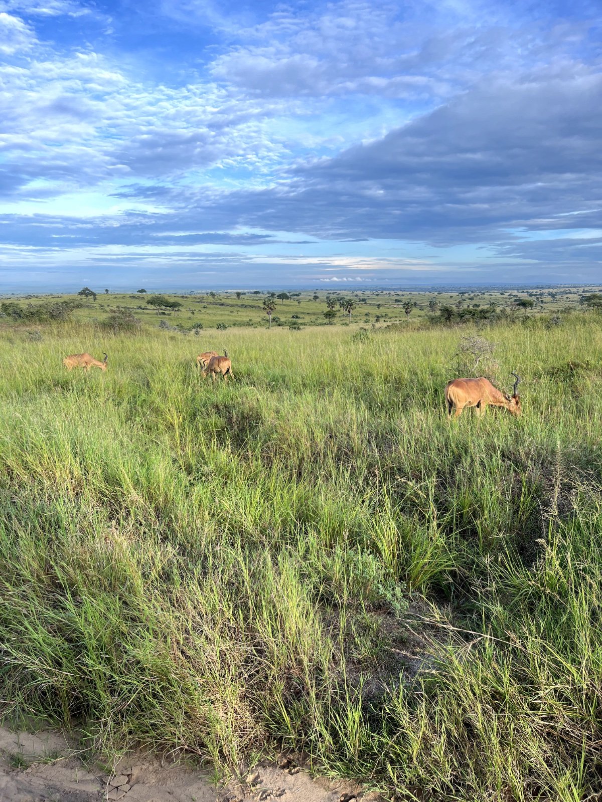 Kidepo Valley National Park