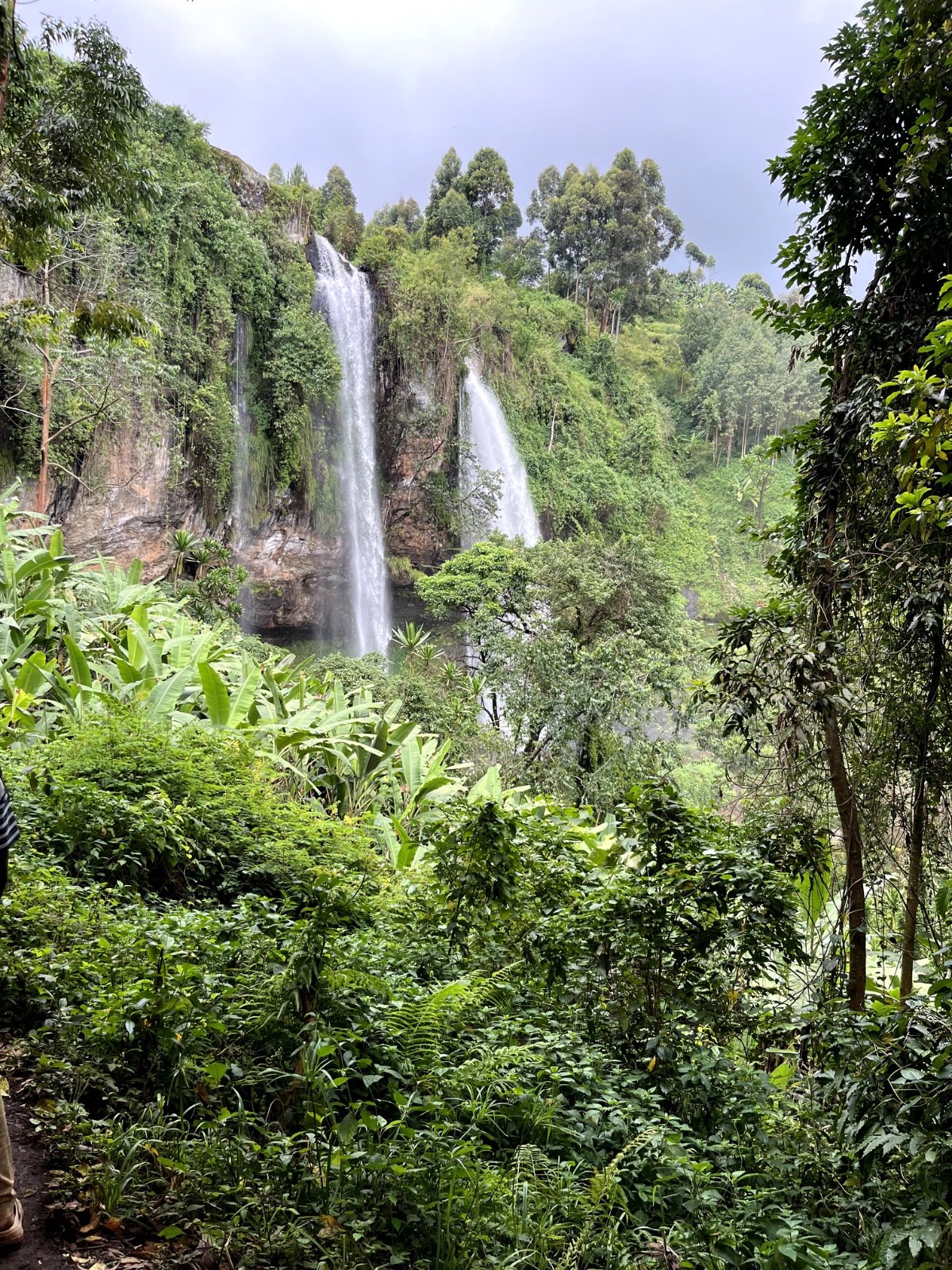 Mount Elgon National Park