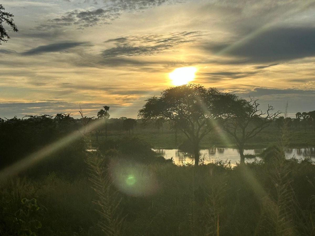 Best of West Uganda — 7 Days - Photo 12