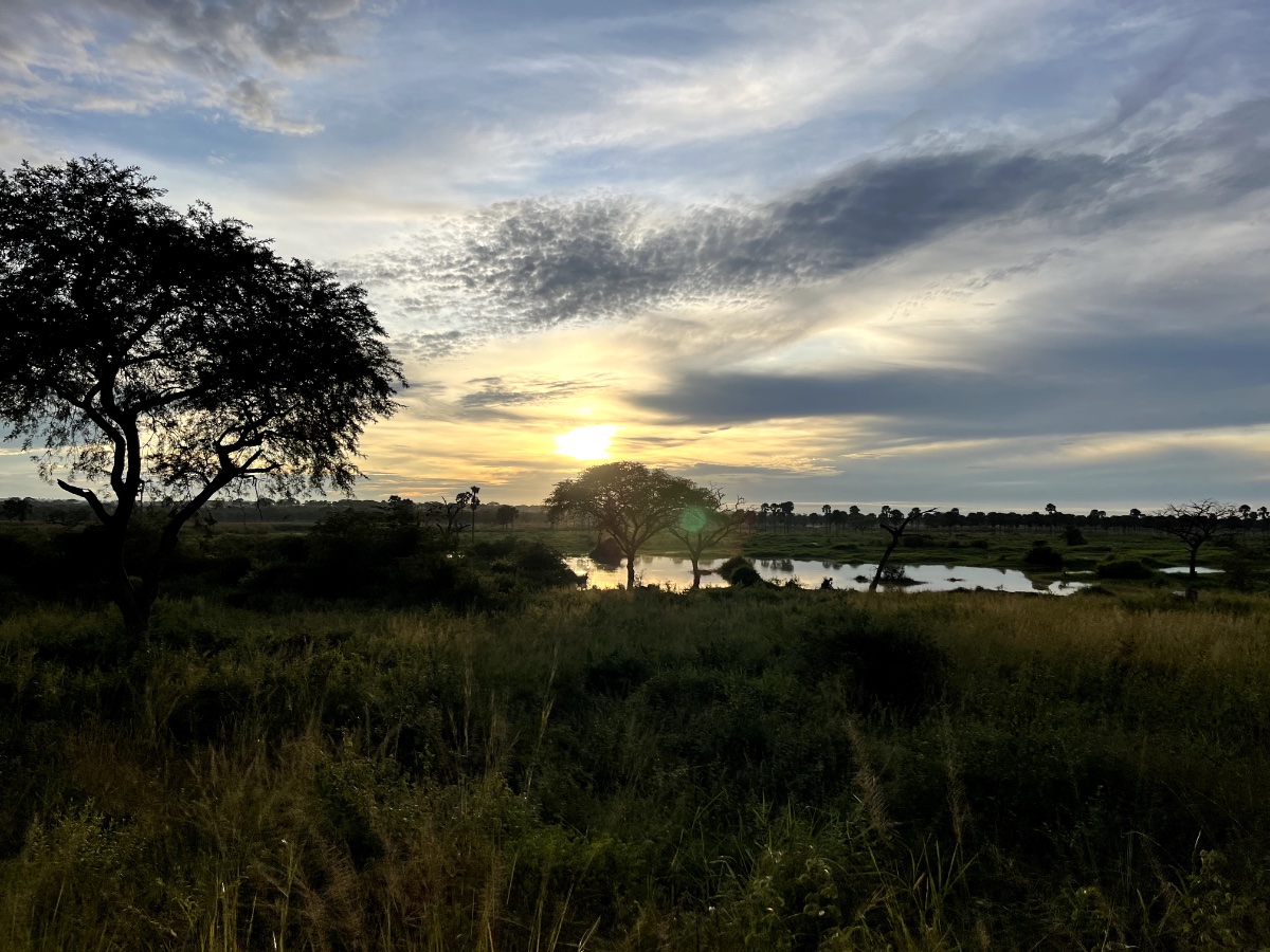 Gorillas & Wildlife Safari — 5 Days - Photo 3