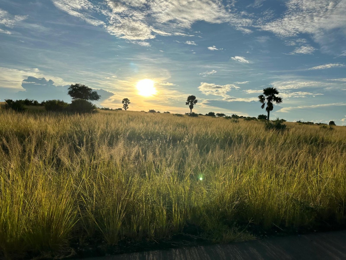 Best of West Uganda — 7 Days