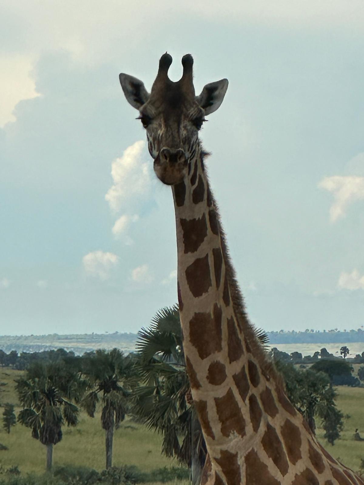 Ziwa Rhino Sanctuary